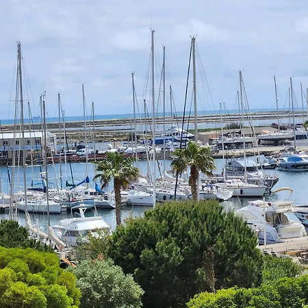 Apartment Le Roof Du Port, Nouveau, Bbq Duplex Clim Parking