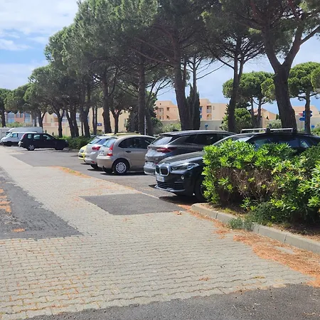Apartment Le Roof Du Port, Nouveau, Bbq Duplex Clim Parking *